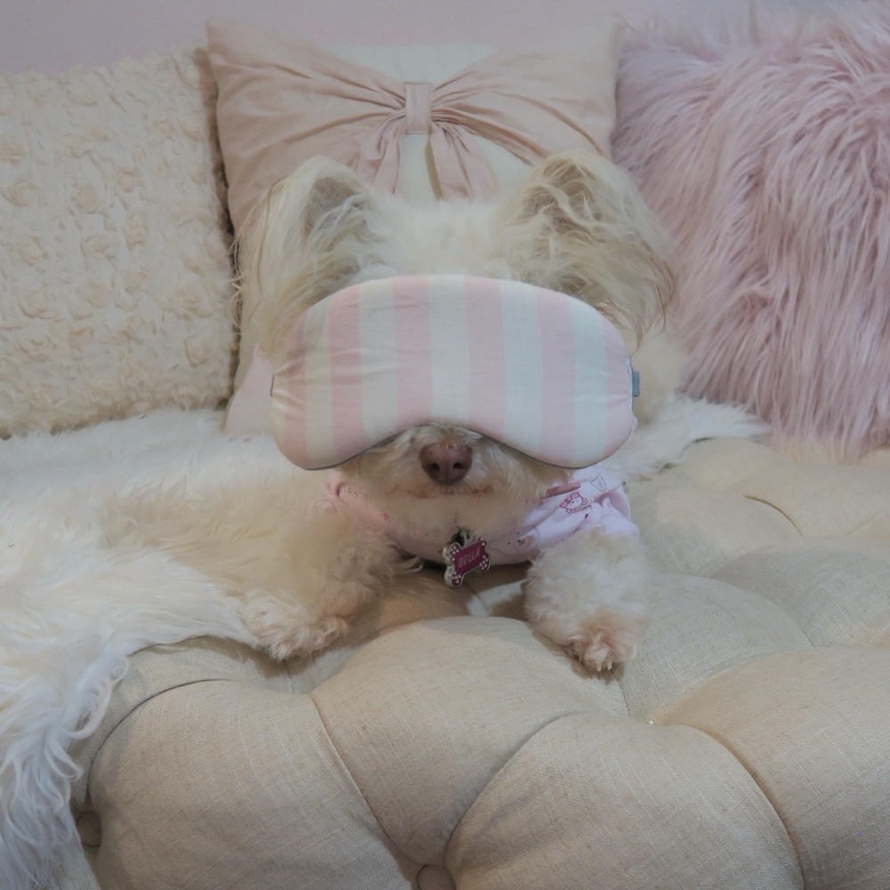 Meet your Posher, Mia Bella.